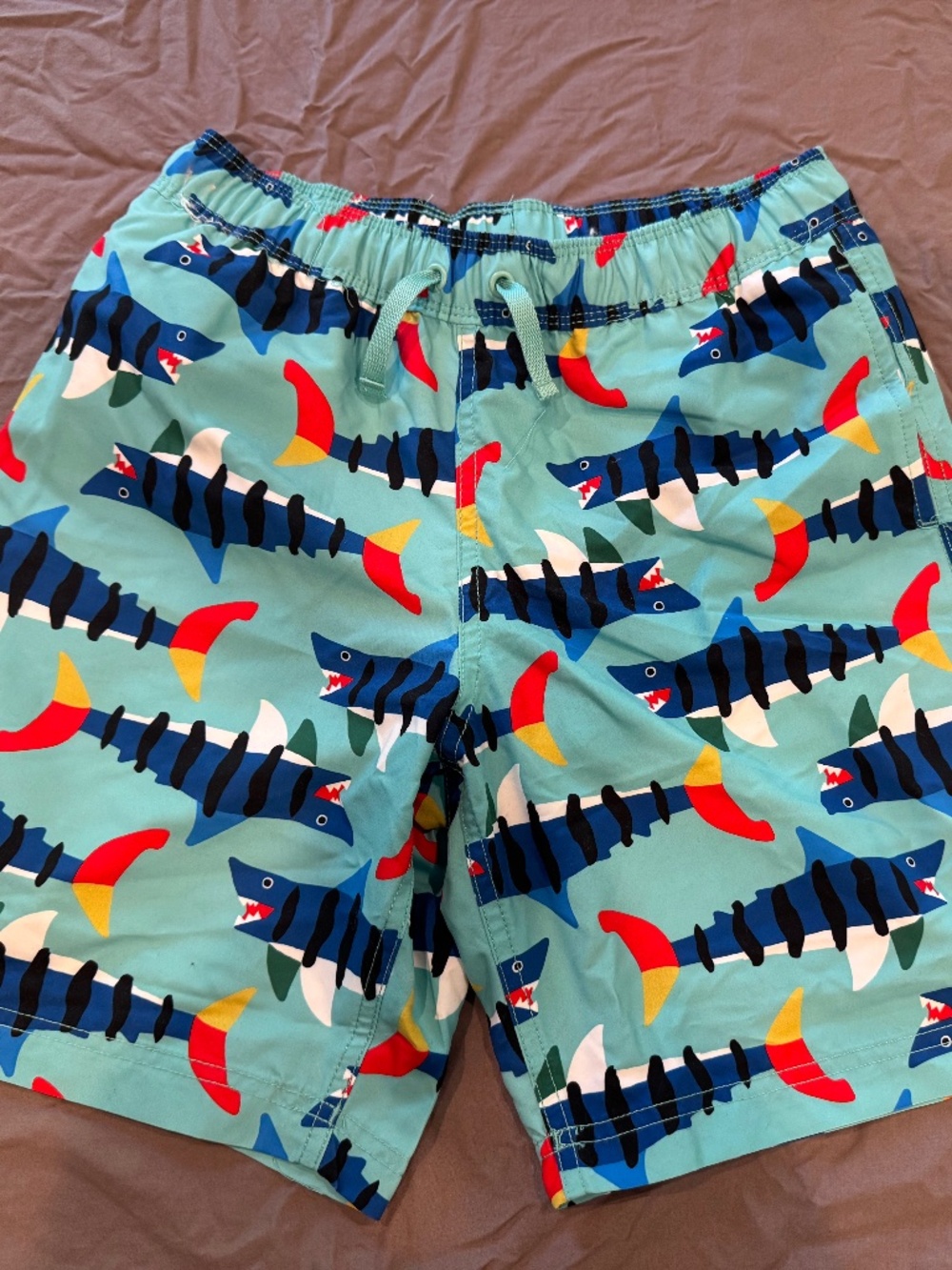 Hanna Anderson boys swim trunks size 10